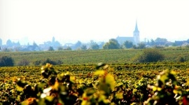 Thumbnail image for Culinary Travel to Europe: Part 2, A day on the German Wine Road